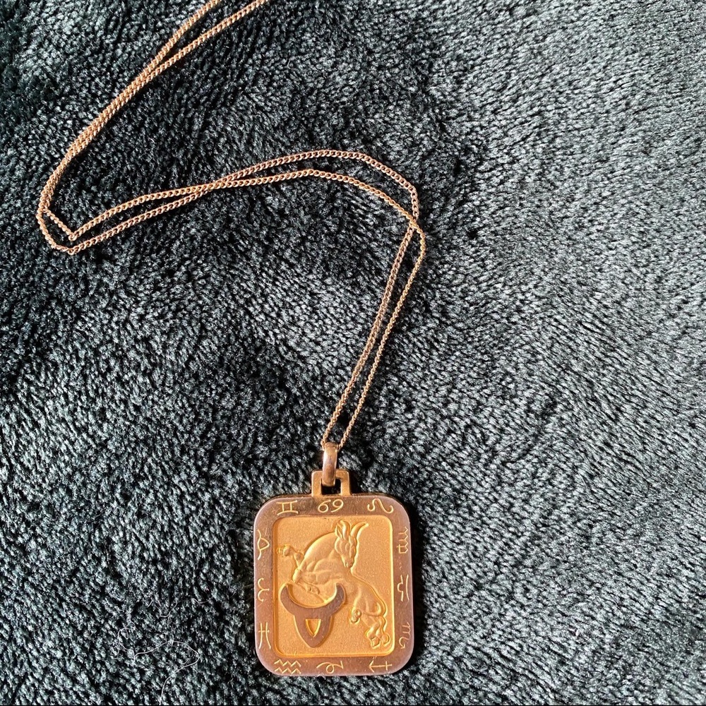 Taurus sign necklace